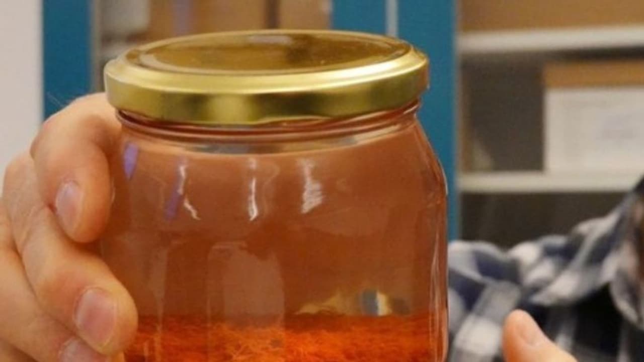 500 വര്ഷം പഴക്കമുള്ള കുങ്കുമവും കരുമുളക് പൊടിയും!; കണ്ടെത്തലുമായി ഗവേഷകര്... 500 വര്ഷം പഴക്കമുള്ള കുങ്കുമവും കരുമുളക് പൊടിയും!; കണ്ടെത്തലുമായി ഗവേഷകര്...