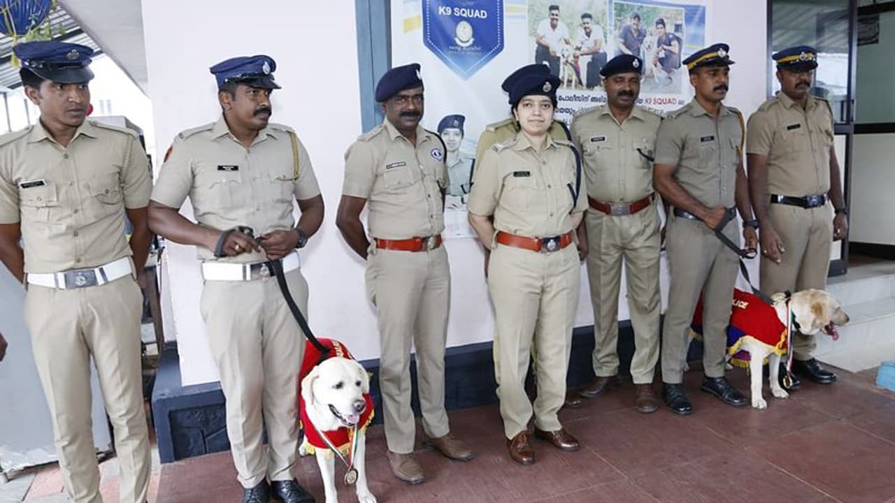 ജാമിയും ലിസിയും വീണ്ടും താരങ്ങളായി