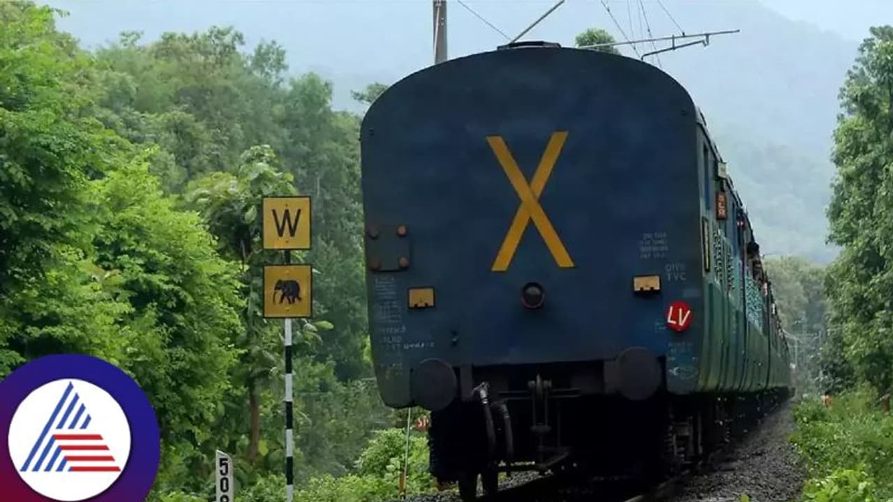 నెల్లూరులో శేషాద్రి ఎక్స్ ప్రెస్ కు తప్పిన ప్రమాదం.. గంట తరువాత తిరిగి ప్రయాణం.. నెల్లూరులో శేషాద్రి ఎక్స్ ప్రెస్ కు తప్పిన ప్రమాదం.. గంట తరువాత తిరిగి ప్రయాణం..