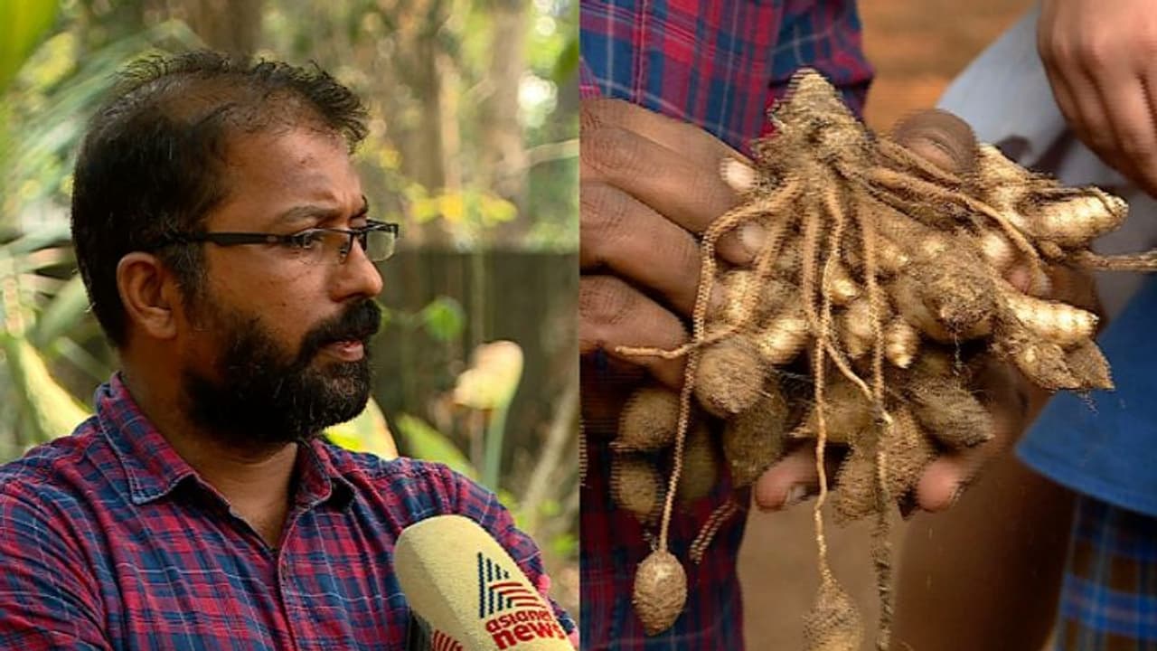 മുന്‍പുണ്ടാകാത്ത രീതിയില്‍ കൃഷിയില്‍ കൈപൊള്ളി മഞ്ഞൾ കർഷകൻ 