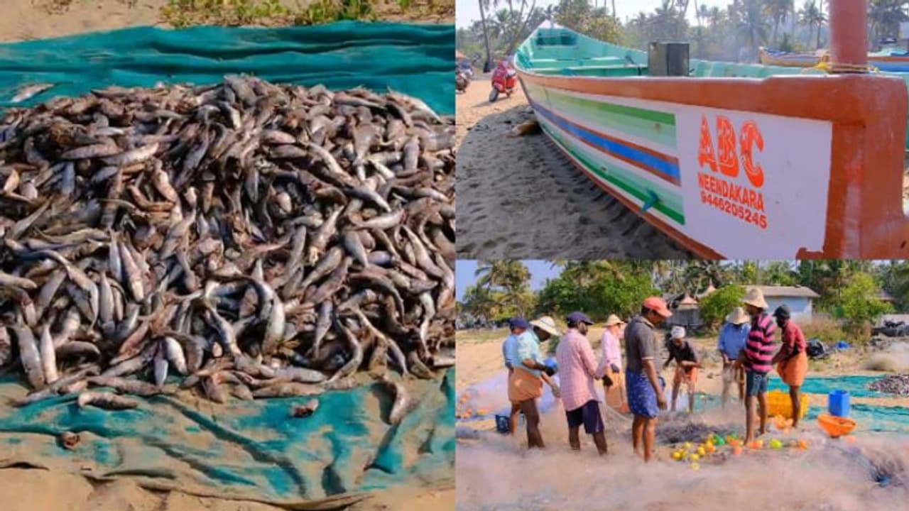 മീൻ പിടിച്ച് മടങ്ങിയ വള്ളം കരയ്ക്കടുത്ത് തിരമാലയിൽ പെട്ട് മറിഞ്ഞു; മത്സ്യത്തൊഴിലാളിക്ക് ഗുരുതര പരിക്ക്