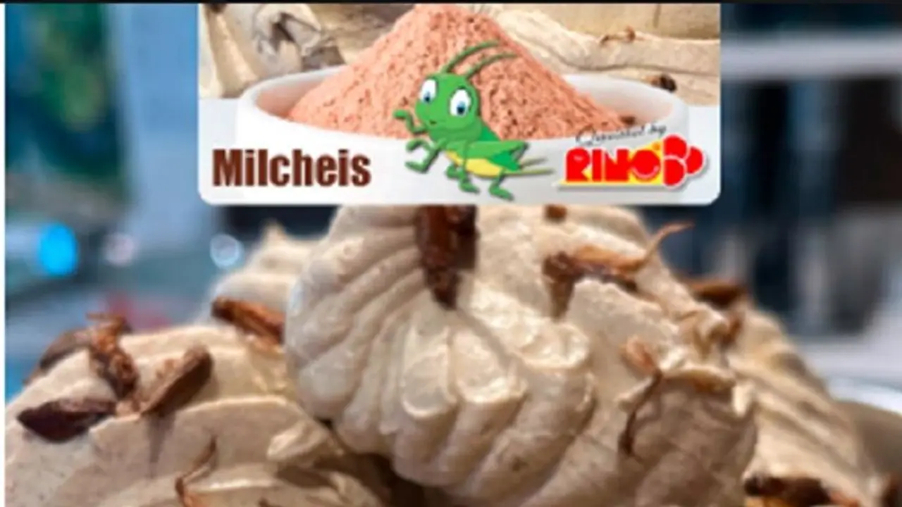 ಐಸ್ಕ್ರೀಂ ಮೇಲೆ ಡ್ರೈಫ್ರೂಟ್ ಅಲ್ಲ ಹುಳ ಹುಪ್ಪಟೆ.. ವಿಡಿಯೋ ನೋಡಿ ಐಸ್ಕ್ರೀಂ ಮೇಲೆ ಡ್ರೈಫ್ರೂಟ್ ಅಲ್ಲ ಹುಳ ಹುಪ್ಪಟೆ.. ವಿಡಿಯೋ ನೋಡಿ