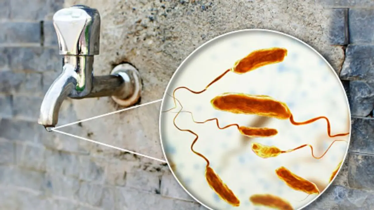 കാരക്കോടന് പുഴയില് മാലിന്യം; വഴിക്കടവില് കോളറ സ്ഥിരീകരിച്ചത് 12 പേര്ക്ക്, 35 പേര് നിരീക്ഷണത്തില് കാരക്കോടന് പുഴയില് മാലിന്യം; വഴിക്കടവില് കോളറ സ്ഥിരീകരിച്ചത് 12 പേര്ക്ക്, 35 പേര് നിരീക്ഷണത്തില്