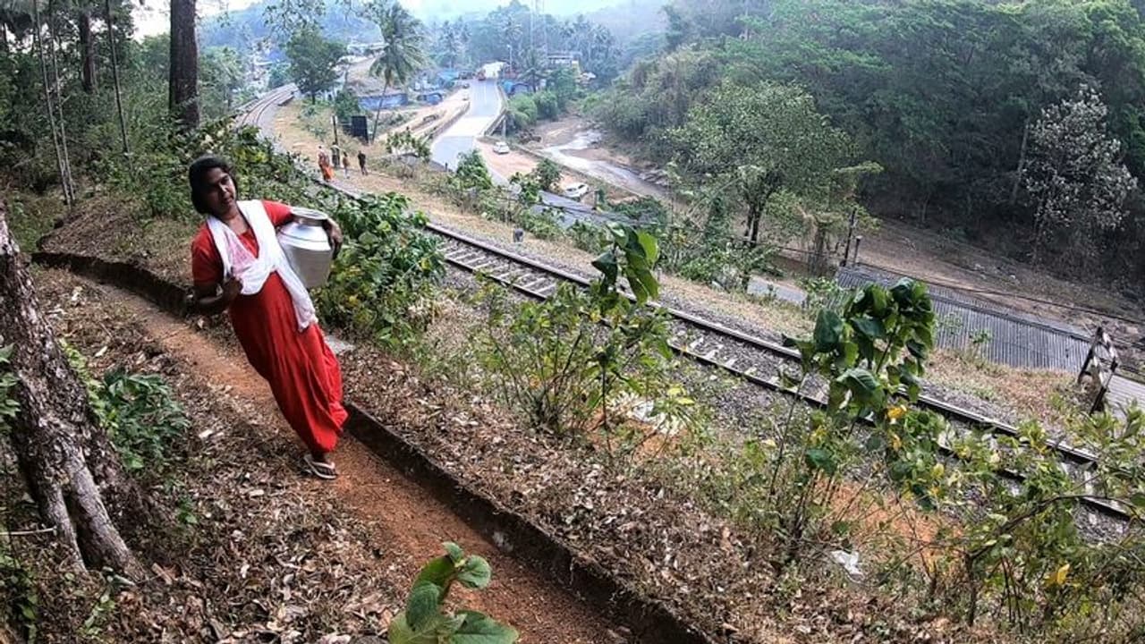കൊല്ലം ജില്ലയുടെ കിഴക്കൻ മലയോര മേഖലയിൽ വരൾച്ച രൂക്ഷം കൊല്ലം ജില്ലയുടെ കിഴക്കൻ മലയോര മേഖലയിൽ വരൾച്ച രൂക്ഷം