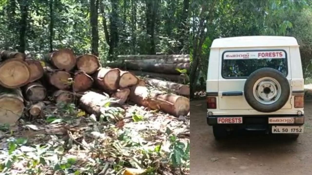 അരിക്കൊമ്പന് കൂടൊരുക്കാൻ തടി ഇറക്കിയതിനെ ചൊല്ലി തര്ക്കം: നോക്കുകൂലി ആവശ്യപ്പെട്ട് തൊഴിലാളി യൂണിയനുകൾ അരിക്കൊമ്പന് കൂടൊരുക്കാൻ തടി ഇറക്കിയതിനെ ചൊല്ലി തര്ക്കം: നോക്കുകൂലി ആവശ്യപ്പെട്ട് തൊഴിലാളി യൂണിയനുകൾ