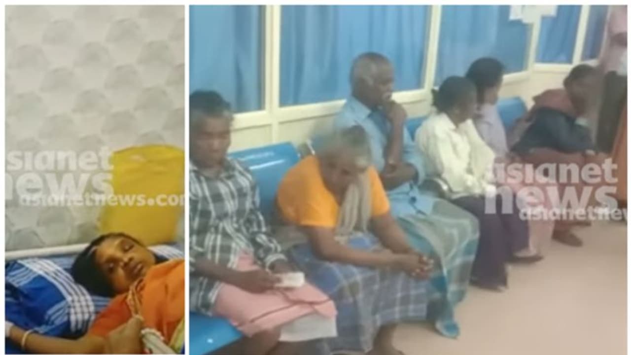 തൊഴിലുറപ്പ് തൊഴിലാളികൾക്ക് തേനീച്ച കുത്തേറ്റു; ആക്രമണത്തിൽ ഗുരുതര പരിക്കേറ്റ വളർത്തുനായ ചത്തു തൊഴിലുറപ്പ് തൊഴിലാളികൾക്ക് തേനീച്ച കുത്തേറ്റു; ആക്രമണത്തിൽ ഗുരുതര പരിക്കേറ്റ വളർത്തുനായ ചത്തു