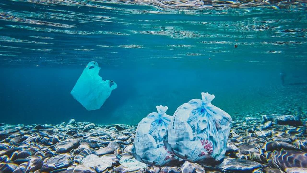 Rs 840 crore project unveiled to combat plastic pollution in coastal Karnataka