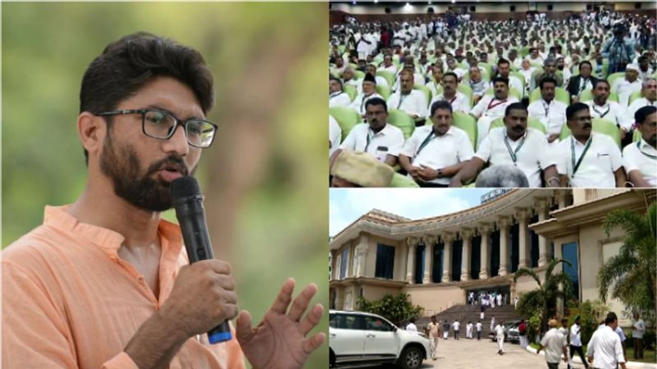 'പെരിയാറിന്റെ ഓർമകൾ ഉള്ളിടത്തോളം മോദിക്കോ ആർഎസ്എസിനോ തെക്കേ ഇന്ത്യയിൽ കടക്കാനാകില്ല' ജിഗ്നേഷ് മേവാനി 'പെരിയാറിന്റെ ഓർമകൾ ഉള്ളിടത്തോളം മോദിക്കോ ആർഎസ്എസിനോ തെക്കേ ഇന്ത്യയിൽ കടക്കാനാകില്ല' ജിഗ്നേഷ് മേവാനി