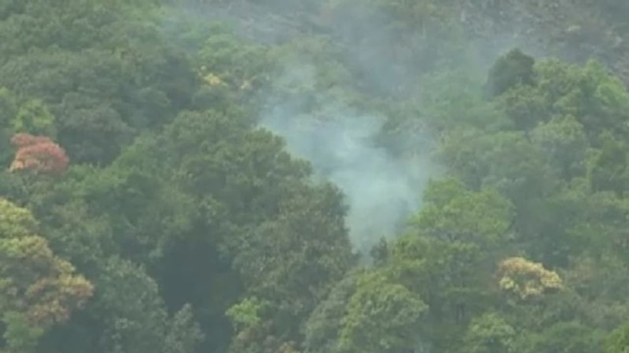 ಚಿಕ್ಕಮಗಳೂರು: ಬಿಸಿಲ ಧಗೆ ಆರಂಭವಾಗ್ತಿದ್ದಂತೆ ಕಾಫಿನಾಡಲ್ಲಿ ಅರಣ್ಯ ಸಂಪತ್ತು ಬೆಂಕಿಗಾಹುತಿ ಚಿಕ್ಕಮಗಳೂರು: ಬಿಸಿಲ ಧಗೆ ಆರಂಭವಾಗ್ತಿದ್ದಂತೆ ಕಾಫಿನಾಡಲ್ಲಿ ಅರಣ್ಯ ಸಂಪತ್ತು ಬೆಂಕಿಗಾಹುತಿ