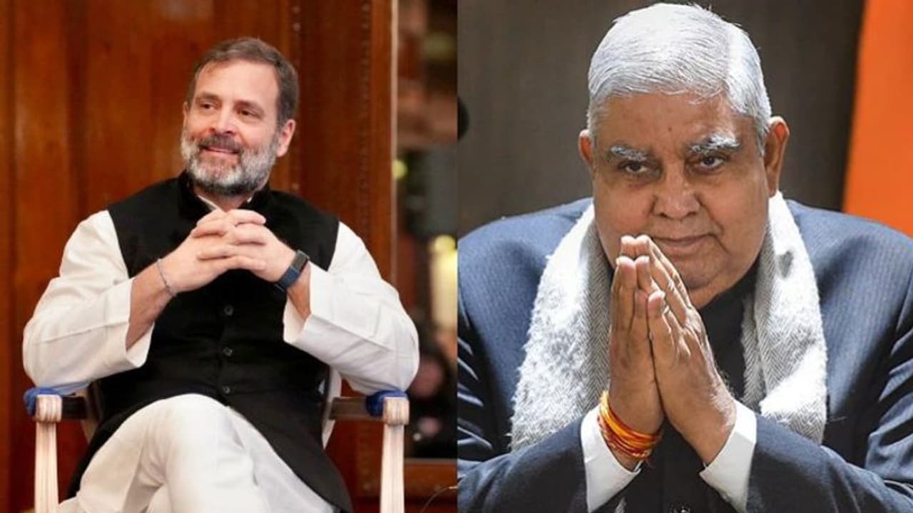 ഇന്ത്യൻ ജനാധിപത്യത്തെ ലോകം വാഴ്ത്തുമ്പോൾ, ചിലർ മോശമെന്ന് സ്ഥാപിക്കുന്നു: രാഹുലിനെ വിമർശിച്ച് ഉപരാഷ്ട്രപതി ഇന്ത്യൻ ജനാധിപത്യത്തെ ലോകം വാഴ്ത്തുമ്പോൾ, ചിലർ മോശമെന്ന് സ്ഥാപിക്കുന്നു: രാഹുലിനെ വിമർശിച്ച് ഉപരാഷ്ട്രപതി