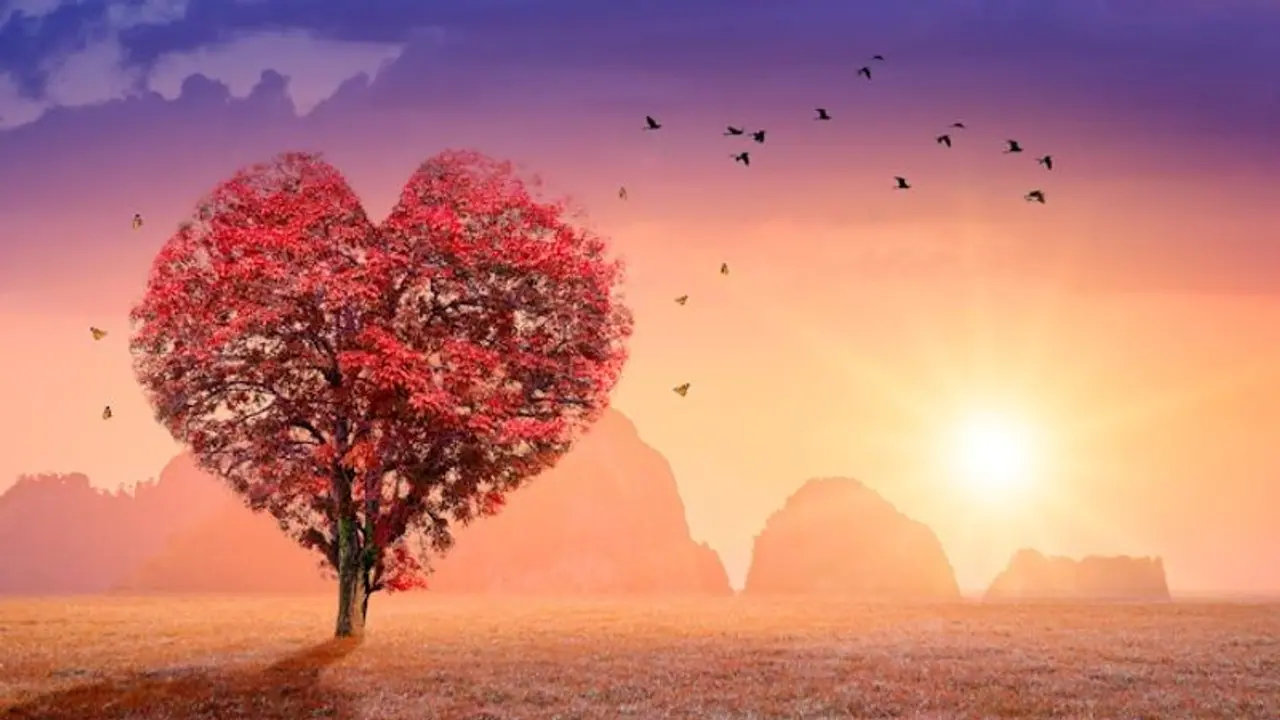 Coconut Water to Watermelon 6 food items that are best for your heart in summers