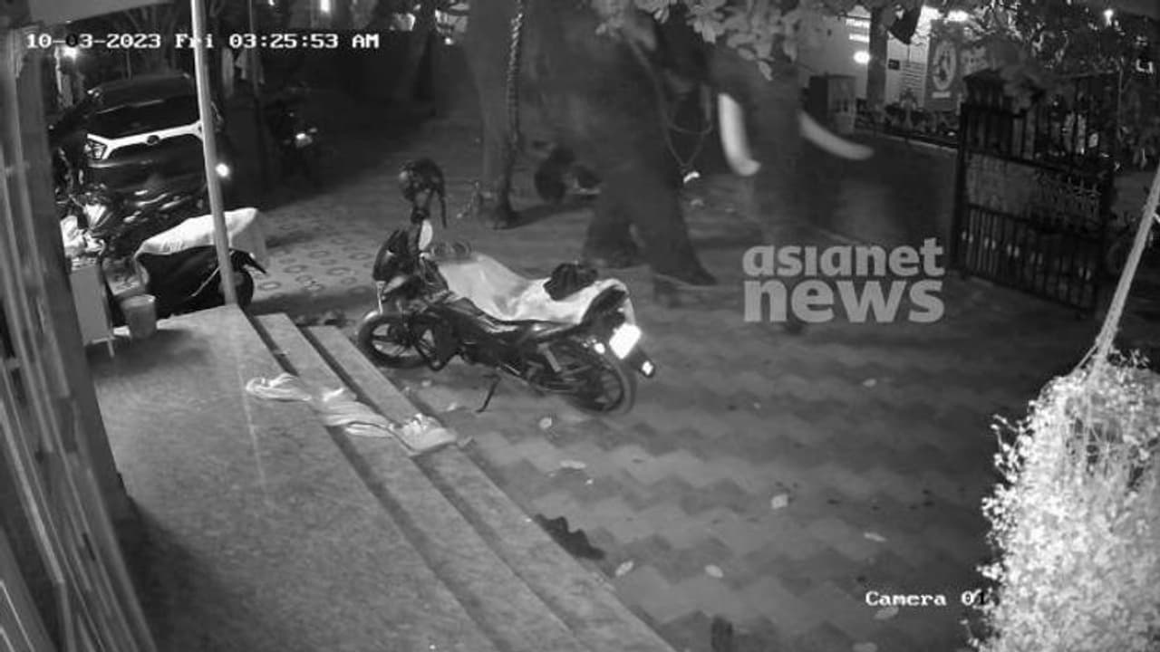 വാടാനപ്പള്ളിയിൽ ഉത്സവത്തിന് കൊണ്ടുവന്ന ആന ഇടഞ്ഞു, കിലോമീറ്ററോളം ഭയന്നോടി വാടാനപ്പള്ളിയിൽ ഉത്സവത്തിന് കൊണ്ടുവന്ന ആന ഇടഞ്ഞു, കിലോമീറ്ററോളം ഭയന്നോടി