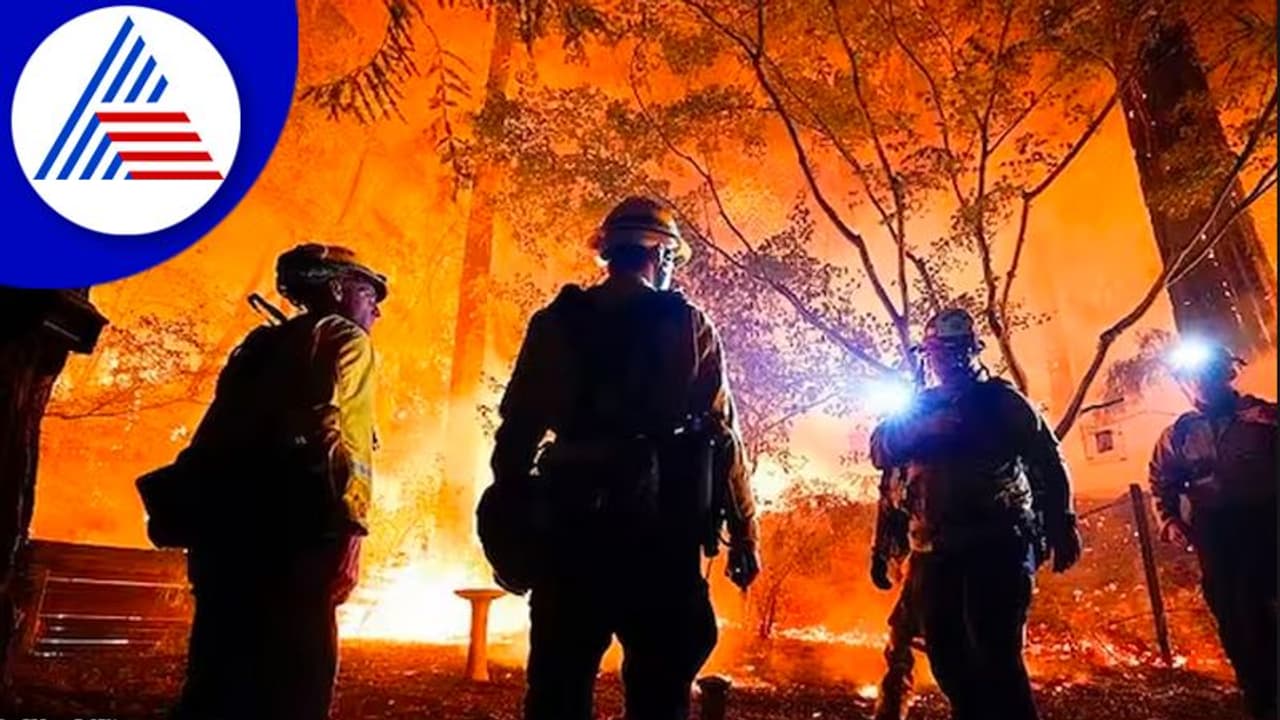 ಮಂಗಳೂರು: ಕಾಡ್ಚಿಚ್ಚಿಗೆ ಪಶ್ಚಿಮಘಟ್ಟದಲ್ಲಿ 250 ಎಕರೆ ಅರಣ್ಯ ಭಸ್ಮ ಮಂಗಳೂರು: ಕಾಡ್ಚಿಚ್ಚಿಗೆ ಪಶ್ಚಿಮಘಟ್ಟದಲ್ಲಿ 250 ಎಕರೆ ಅರಣ್ಯ ಭಸ್ಮ