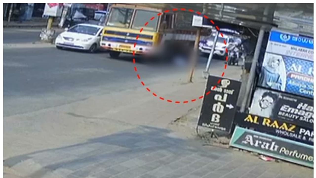 സിഗ്നലില്‍ നിർത്തിയിട്ട ലോറിക്ക് അടിയിലേക്ക് ചാടി ആത്മഹത്യ; പിൻചക്രങ്ങൾ കയറിയിറങ്ങി ദാരുണാന്ത്യം