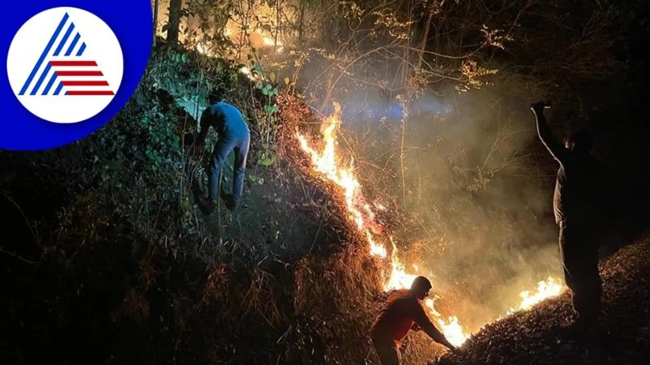 ಬೆಂಗ್ಳೂರಿನ ತುರಹಳ್ಳಿ ಅರಣ್ಯದಲ್ಲಿ ಕಾಡ್ಗಿಚ್ಚು: 20 ಎಕರೆ ಭಸ್ಮ