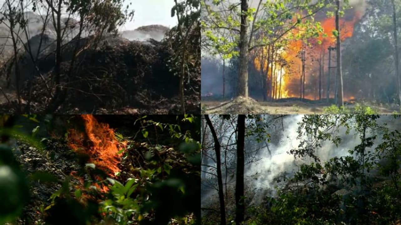 വേനൽ കനക്കുന്നു,സംസ്ഥാനത്ത് കാട്ടുതീയും പടര്‍ന്ന് പിടിക്കുന്നു,ഈസീസണിൽ മാത്രം 309ഹെക്ടര്‍ വനം കത്തിനശിച്ചു