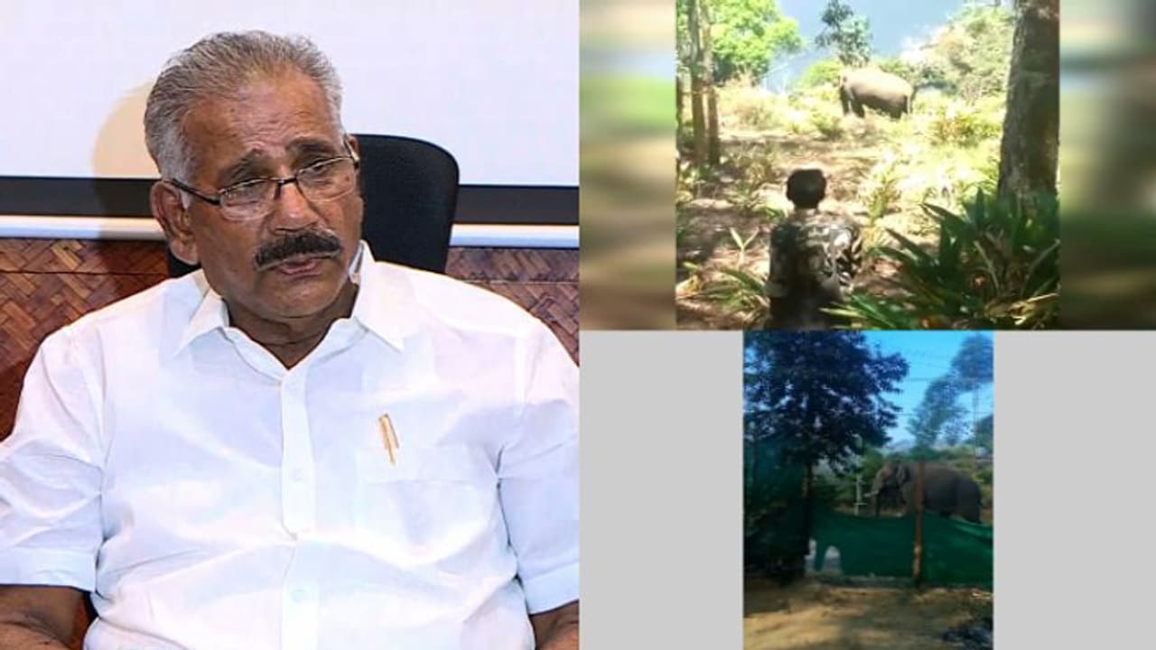 അരിക്കൊമ്പനെ പിടികൂടാൻ 30 അംഗ സംഘമെത്തും, നാല് കുങ്കിയാനകളും 26 വനം വകുപ്പ് ഉദ്യോഗസ്ഥരും സംഘത്തിൽ 