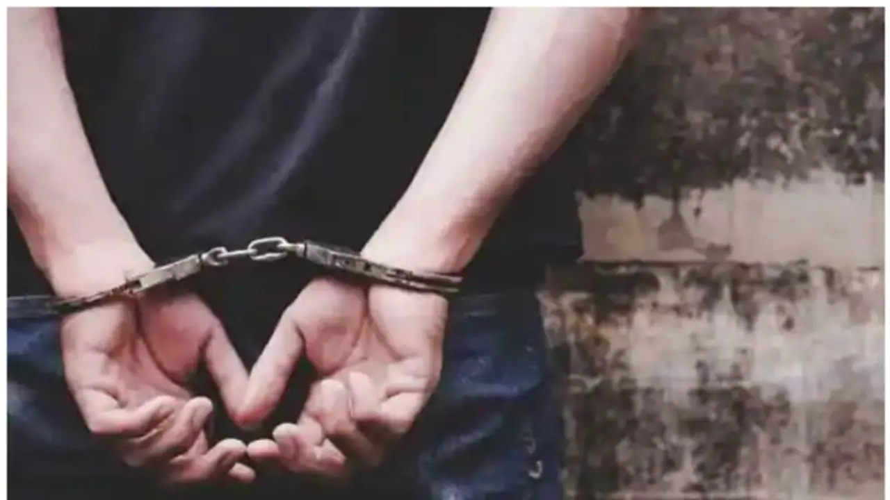 Just moving hand over back of minor girl without sexual intent does not amount to outraging modesty: Bombay HC Just moving hand over back of minor girl without sexual intent does not amount to outraging modesty: Bombay HC