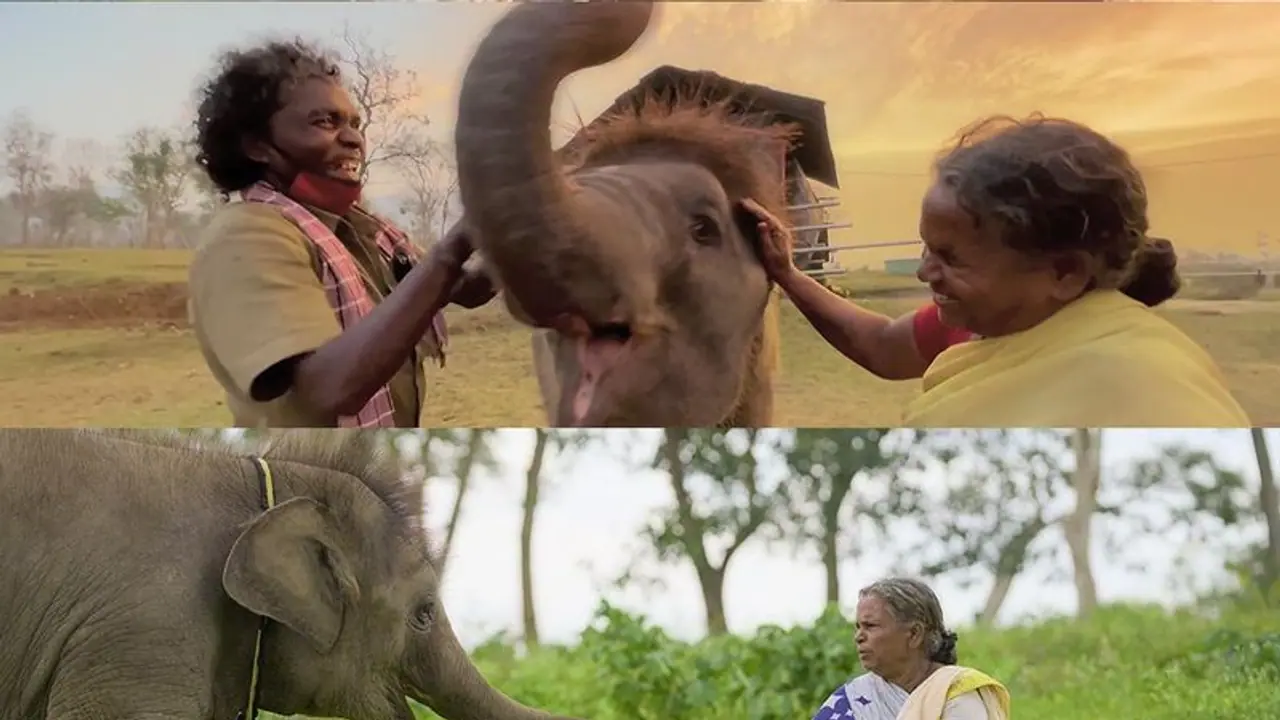 ದಿ ಎಲಿಫ್ಯಾಂಟ್ ವಿಸ್ಪರ್ಸ್ನ ಬೆಳ್ಳಿಗೆ ಸರ್ಕಾರಿ ಕೆಲಸ: ಬೆಳ್ಳಿ ಈಗ ತಮಿಳುನಾಡಿನ ಮೊದಲ ಮಹಿಳಾ ಕಾವಡಿ ದಿ ಎಲಿಫ್ಯಾಂಟ್ ವಿಸ್ಪರ್ಸ್ನ ಬೆಳ್ಳಿಗೆ ಸರ್ಕಾರಿ ಕೆಲಸ: ಬೆಳ್ಳಿ ಈಗ ತಮಿಳುನಾಡಿನ ಮೊದಲ ಮಹಿಳಾ ಕಾವಡಿ