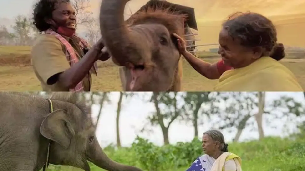 The Elephant Whisperers ಚಿತ್ರದ ಬೊಮ್ಮನ್ ಬೆಳ್ಳಿ ದಂಪತಿ ಸಾಕಿದ್ದ 4 ತಿಂಗಳ ಆನೆ ಮರಿ ಅನಾರೋಗ್ಯಕ್ಕೆ ಬಲಿ 