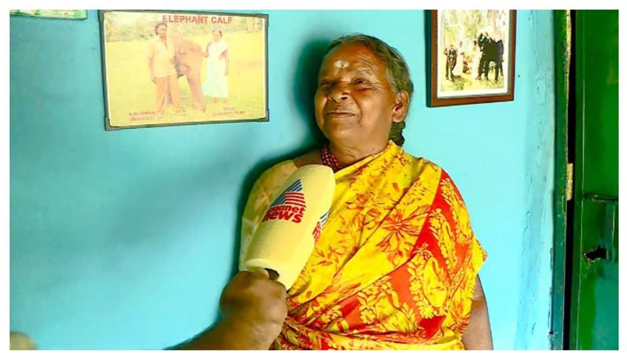 ആനക്കുട്ടിയെ വളർത്തുന്നത് വലിയ വെല്ലുവിളിയായിരുന്നു എങ്കിലും,... രഘുവിനെ വളർത്തിയ ബെല്ലി പറയുന്നു ആനക്കുട്ടിയെ വളർത്തുന്നത് വലിയ വെല്ലുവിളിയായിരുന്നു എങ്കിലും,... രഘുവിനെ വളർത്തിയ ബെല്ലി പറയുന്നു