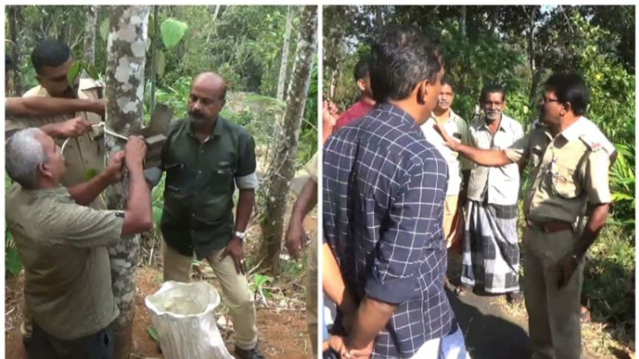 പുലിയെ പിടിക്കാൻ ക്യാമറ ട്രാപ്പ്, ഇടുക്കി മാലിക്കിത്തിൽ വനംവകുപ്പ് നടപടി തുടങ്ങി പുലിയെ പിടിക്കാൻ ക്യാമറ ട്രാപ്പ്, ഇടുക്കി മാലിക്കിത്തിൽ വനംവകുപ്പ് നടപടി തുടങ്ങി