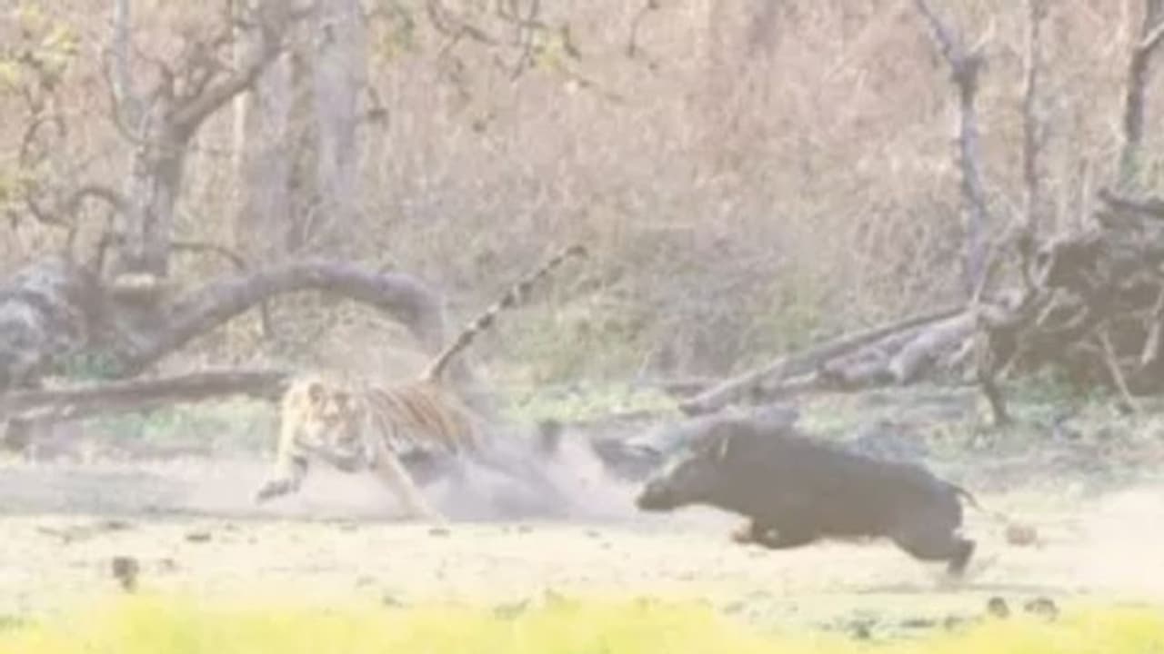 ಕನ್ನಡಪ್ರಭದ ಅನುರಾಗ್ ಛಾಯಾಚಿತ್ರಕ್ಕೆ 2 ಚಿನ್ನ, 1 ಬೆಳ್ಳಿ ಪದಕ ಕನ್ನಡಪ್ರಭದ ಅನುರಾಗ್ ಛಾಯಾಚಿತ್ರಕ್ಕೆ 2 ಚಿನ್ನ, 1 ಬೆಳ್ಳಿ ಪದಕ