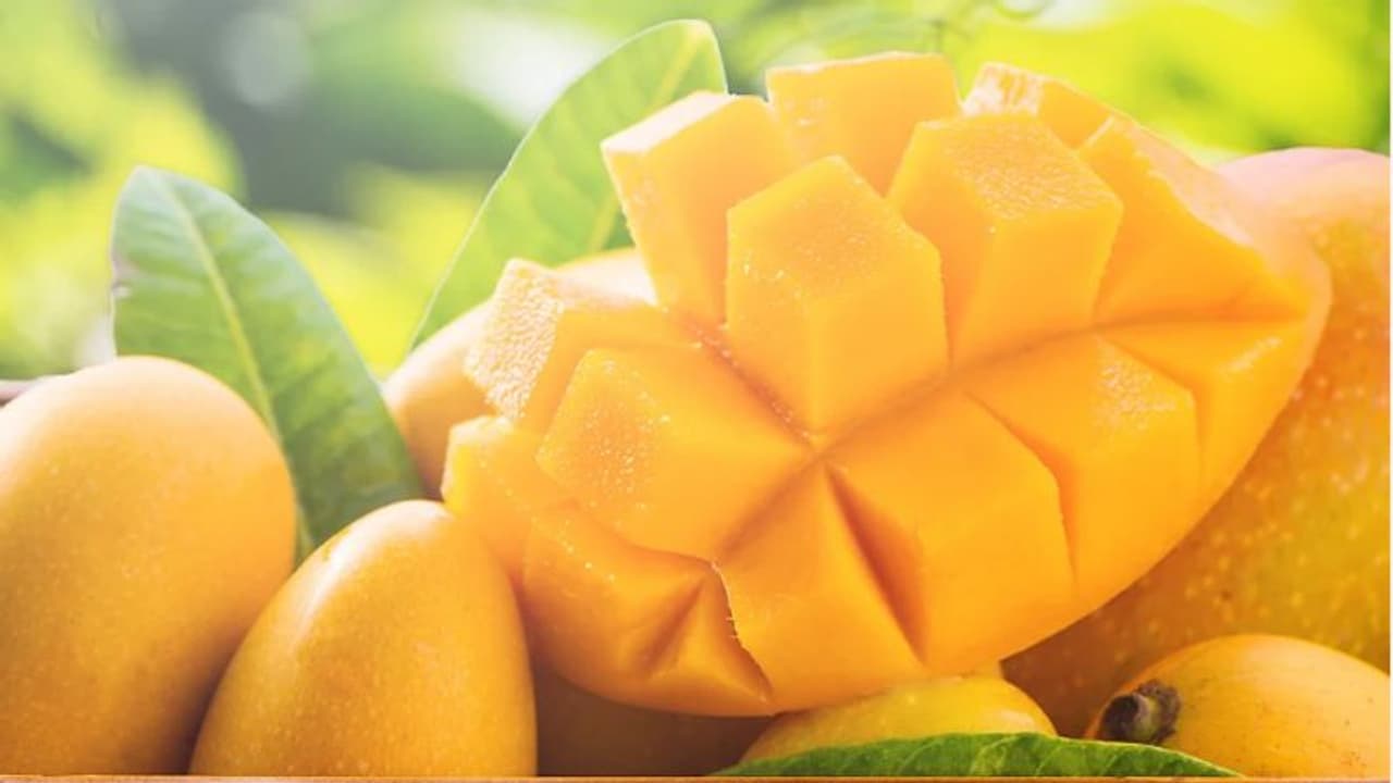 വേനൽക്കാലത്ത് കഴിക്കേണ്ട അഞ്ച് പഴങ്ങൾ... വേനൽക്കാലത്ത് കഴിക്കേണ്ട അഞ്ച് പഴങ്ങൾ...