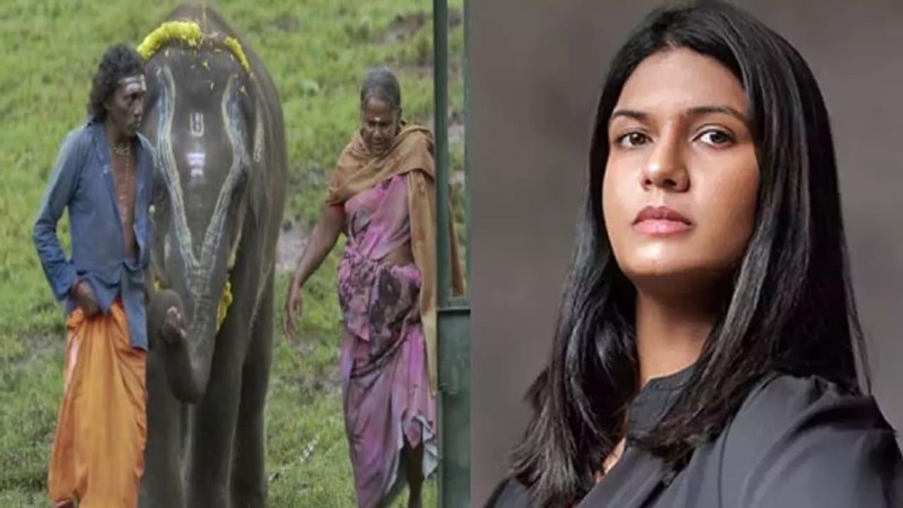 எங்களிடம் வாங்கிய பணத்தைத் திருப்பித் தரவில்லை: ஆஸ்கர் இயக்குநர் மீது பொம்மன் பெள்ளி தம்பதி குற்றச்சாட்டு எங்களிடம் வாங்கிய பணத்தைத் திருப்பித் தரவில்லை: ஆஸ்கர் இயக்குநர் மீது பொம்மன் பெள்ளி தம்பதி குற்றச்சாட்டு