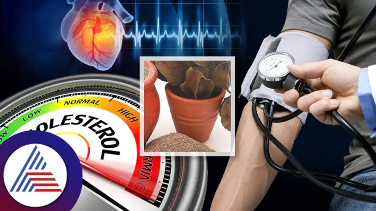 Health Tips: ಬಿಪಿ, ಕೊಲೆಸ್ಟ್ರಾಲ್ ಕಂಟ್ರೋಲ್‌ನಲ್ಲಿಡಲು ಈ ಸ್ಪೆಷಲ್ ಟೀ ಕುಡೀರಿ ಸಾಕು