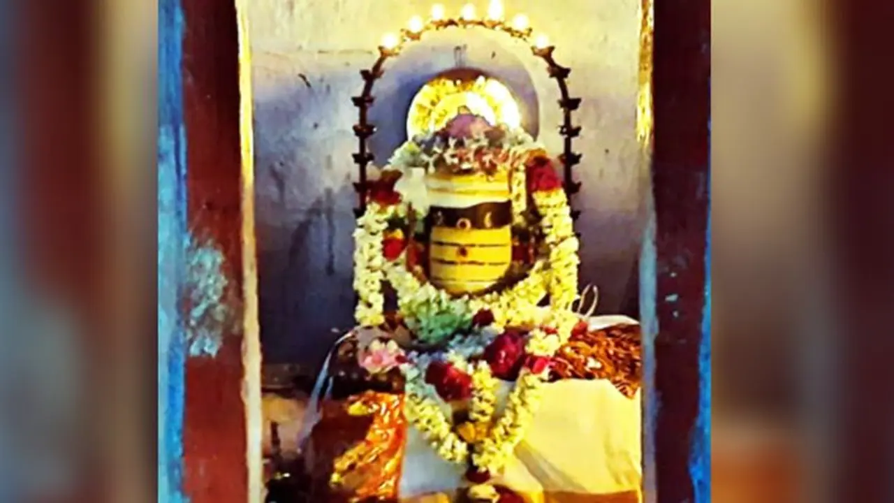 தேனியில் ஆச்சர்யம்.. 5 தலை நாகம் பாதுகாக்கும் சிவன் கோயில்.. இங்க எவ்வளவு விசேஷம் தெரியுமா? தேனியில் ஆச்சர்யம்.. 5 தலை நாகம் பாதுகாக்கும் சிவன் கோயில்.. இங்க எவ்வளவு விசேஷம் தெரியுமா?