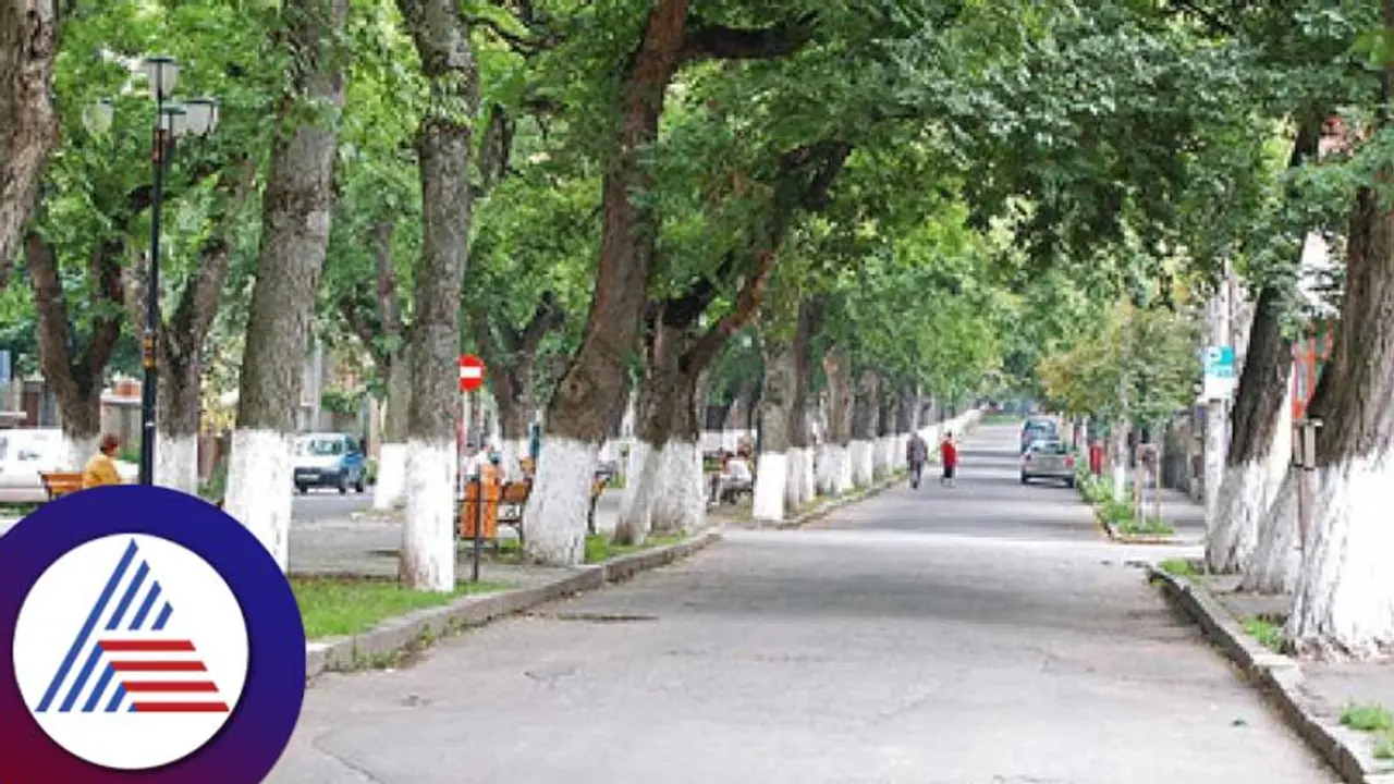 BMRCL to plant 15,000 trees across Bengaluru to offset metro construction impact in city