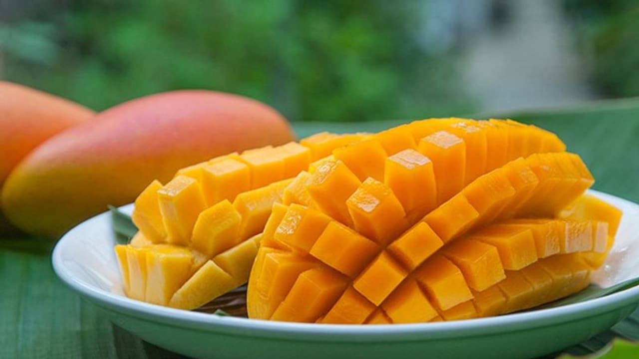 Health Tips : മാമ്പഴം കഴിക്കാൻ ഇഷ്ടമാണോ? എങ്കില് ഇക്കാര്യം കൂടി മനസിലാക്കൂ... Health Tips : മാമ്പഴം കഴിക്കാൻ ഇഷ്ടമാണോ? എങ്കില് ഇക്കാര്യം കൂടി മനസിലാക്കൂ...