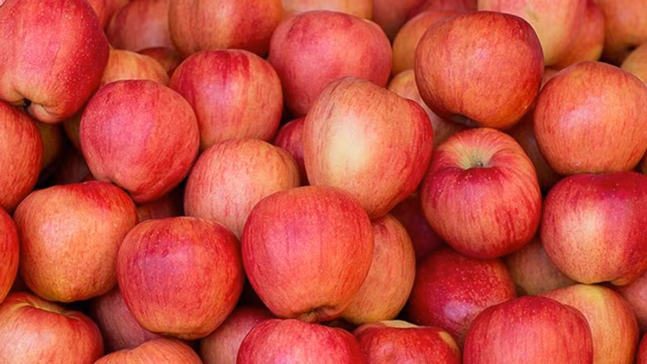 Health Tips : ദിവസവും ഒരു ആപ്പിൾ വീതം കഴിക്കണമെന്ന് പറയുന്നതിന്റെ കാരണങ്ങൾ ഇതൊക്കെയാണ് Health Tips : ദിവസവും ഒരു ആപ്പിൾ വീതം കഴിക്കണമെന്ന് പറയുന്നതിന്റെ കാരണങ്ങൾ ഇതൊക്കെയാണ്