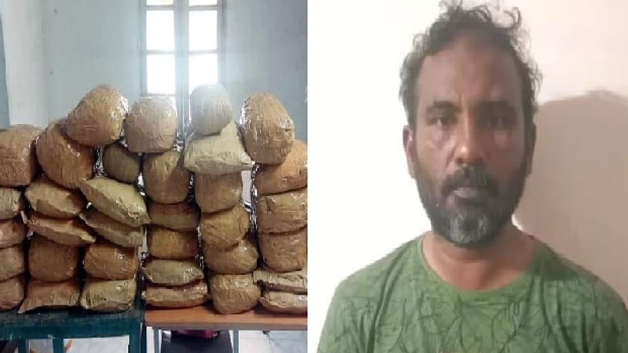 காரில் கஞ்சா கடத்திய மதுரை தம்பதி… விசாரணையில் வெளியான அதிர்ச்சி தகவல்!! காரில் கஞ்சா கடத்திய மதுரை தம்பதி… விசாரணையில் வெளியான அதிர்ச்சி தகவல்!!