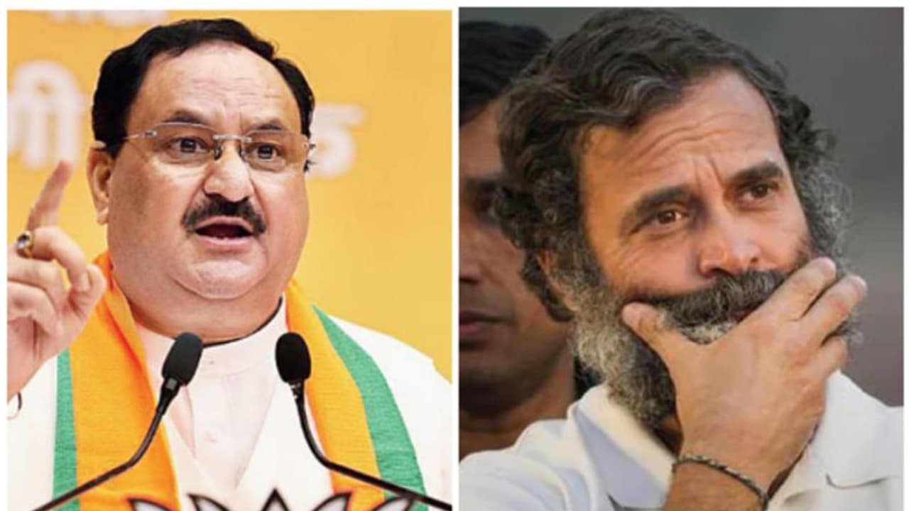 'ഒബിസി വിഭാഗത്തെ കള്ളന്മാരോട് ഉപമിച്ചത് രാഹുൽ ഗാന്ധിയുടെ ജാതി മനസ്, 2024 ൽ ശിക്ഷ കടുക്കും': ബിജെപി അധ്യക്ഷൻ