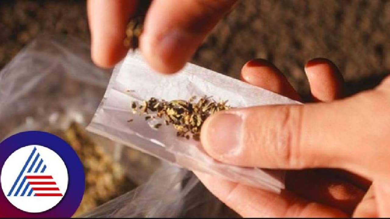 ಉತ್ತರ ಕನ್ನಡ: ₹10 ಲಕ್ಷ ಮೊತ್ತದ ಚರಸ್‌ ಮಾರಾಟಕ್ಕೆ ಯತ್ನ, ಮೂವರ ಬಂಧನ 