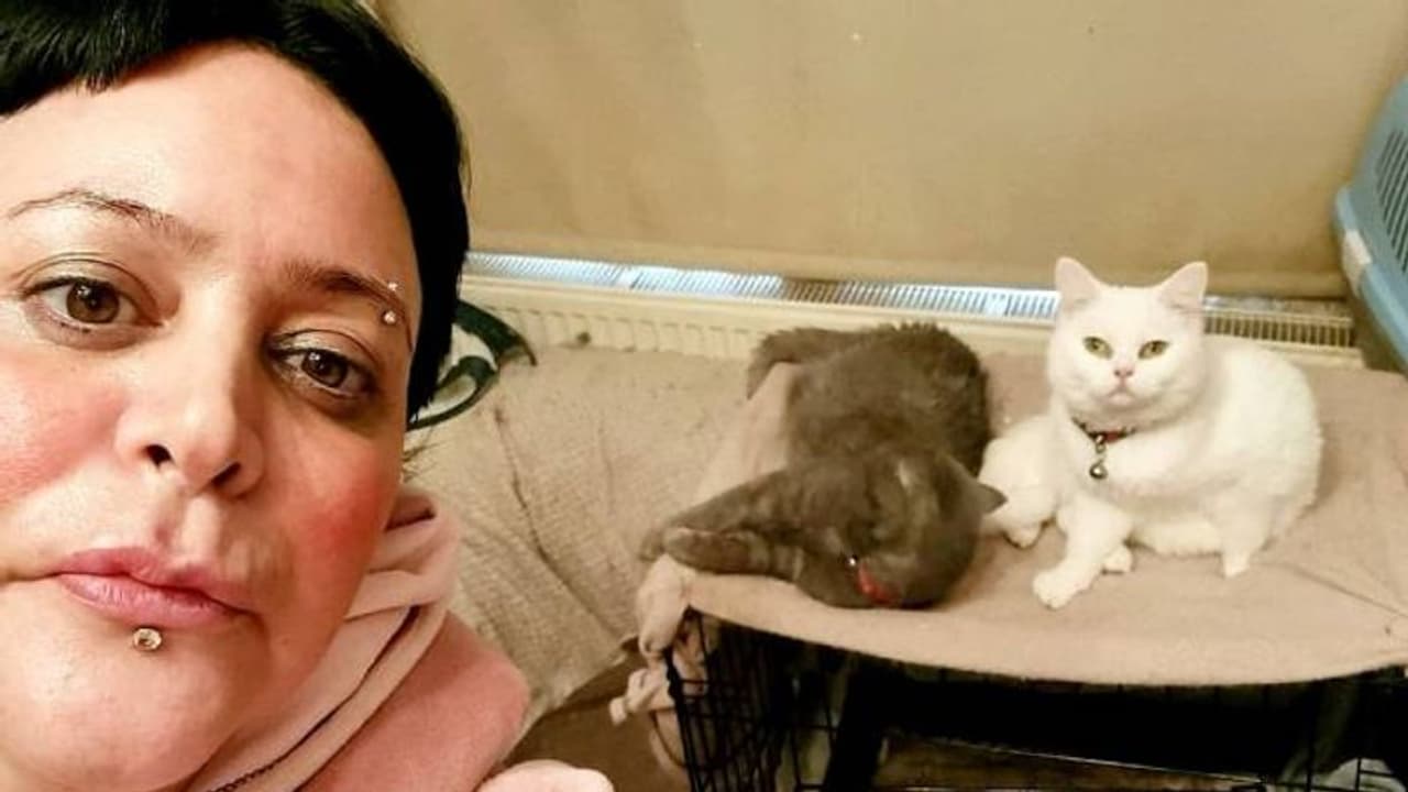 ജീവിതച്ചെലവ് കൂടി, പൂച്ചകൾക്ക് ഭക്ഷണം നൽകാൻ സ്വന്തം ഭക്ഷണം ഉപേക്ഷിച്ച് യുകെ സ്വദേശിനി