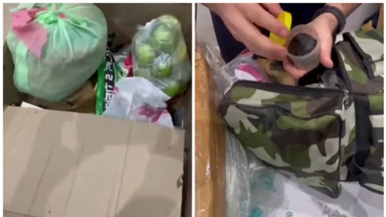 ലഗേജിനുള്ളില് ഒളിപ്പിച്ച നിലയില് മയക്കുമരുന്ന്; പ്രവാസി വിമാനത്താവളത്തില് പിടിയില് ലഗേജിനുള്ളില് ഒളിപ്പിച്ച നിലയില് മയക്കുമരുന്ന്; പ്രവാസി വിമാനത്താവളത്തില് പിടിയില്