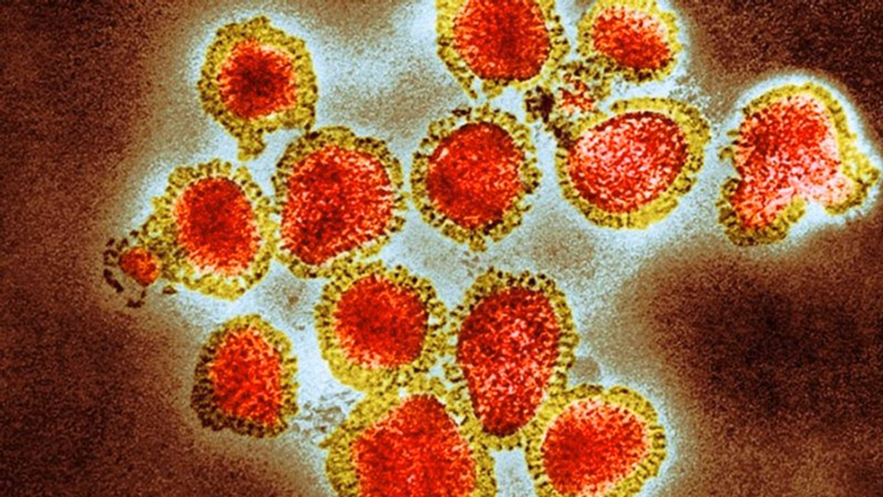 കാസർകോട് അഞ്ച് വിദ്യാർത്ഥികൾക്ക് എച്ച്3എൻ2, എച്ച്1എൻ1 രോഗബാധ സ്ഥിരീകരിച്ചു; ആശുപത്രിയിൽ പ്രവേശിപ്പിച്ചു