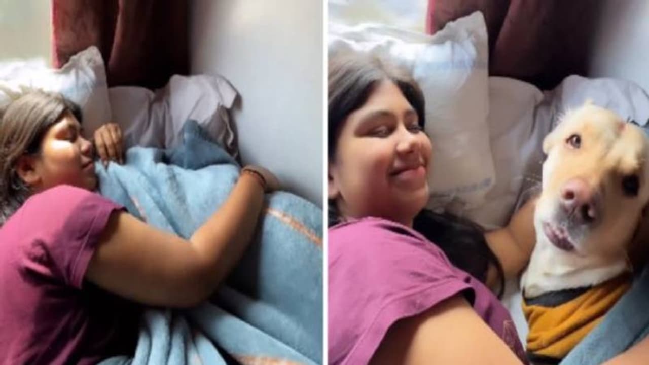 Viral video: നായയുമായി ട്രെയിനിലൊരു യാത്ര, വീഡിയോ വൈറൽ, കമന്റുമായി മന്ത്രിയും Viral video: നായയുമായി ട്രെയിനിലൊരു യാത്ര, വീഡിയോ വൈറൽ, കമന്റുമായി മന്ത്രിയും