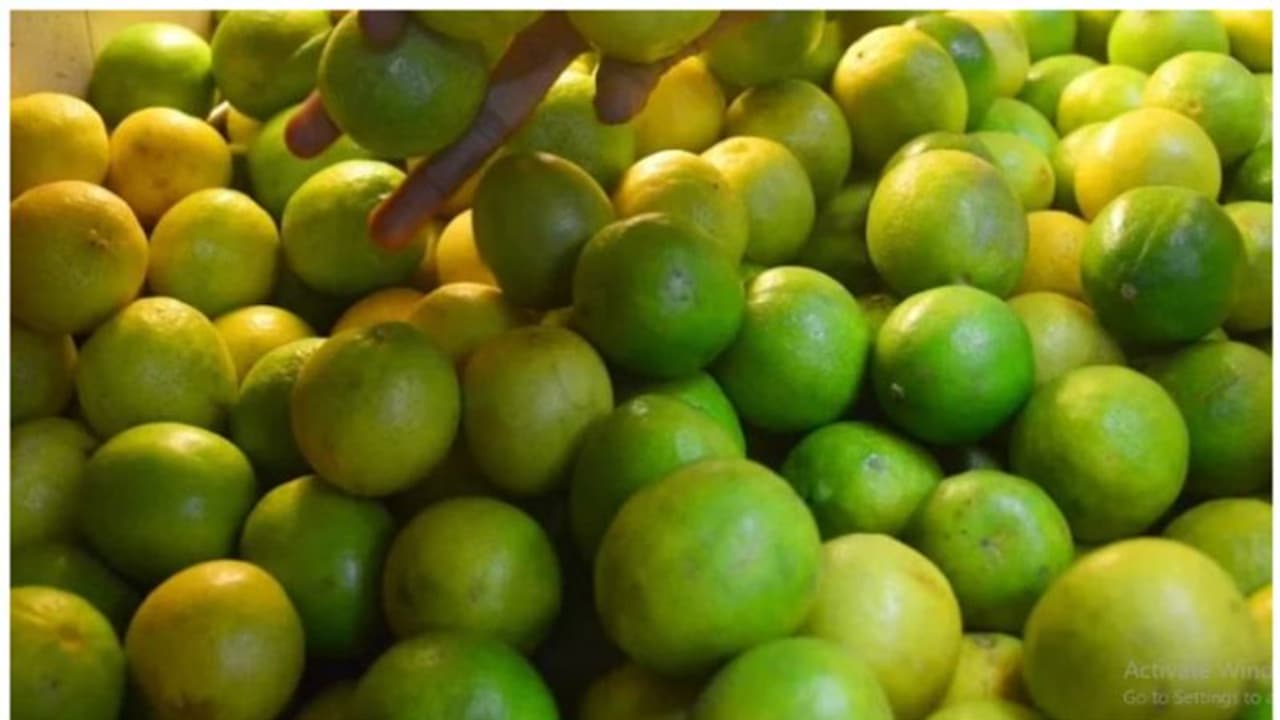 Lemon Price Hike : നാരങ്ങയ്ക്ക് പൊള്ളുന്ന വില ; ഒരു മാസത്തിനിടെ കൂടിയത് ഇരട്ടിയിലധികം