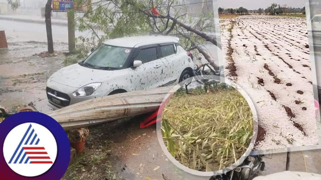 ಆಲಿಕಲ್ಲು ಮಳೆಗೆ ಬೀದರ್‌ ರೈತ ಸಾವು: ಸಾವಿರಾರು ಎಕರೆ ಬಿಳಿಜೋಳ, ಮಾವು ಬೆಳೆ ನಷ್ಟ