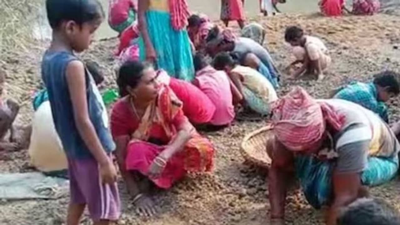 നദിയിൽ സ്വർണ്ണത്തരികൾ, നദീതീരത്ത് സ്വർണം ശേഖരിക്കാൻ ഗ്രാമവാസികളുടെ തിരക്ക്, സംഭവം പശ്ചിമ ബംഗാളിൽ നദിയിൽ സ്വർണ്ണത്തരികൾ, നദീതീരത്ത് സ്വർണം ശേഖരിക്കാൻ ഗ്രാമവാസികളുടെ തിരക്ക്, സംഭവം പശ്ചിമ ബംഗാളിൽ