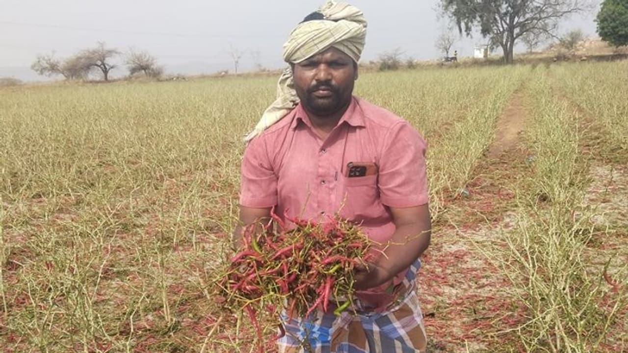 ಕರ್ನಾಟಕದಲ್ಲಿ ಮಳೆಗೆ ಭಾರೀ ಬೆಳೆಹಾನಿ, ಕಂಗಾಲಾದ ರೈತ..!