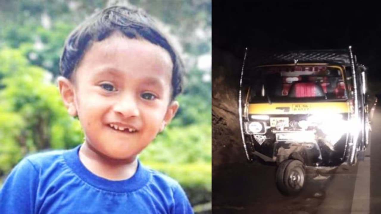 പിണങ്ങിയും കൊഞ്ചിയും കൂട്ടുകൂടാൻ 'കുഞ്ഞാവ' ഇനിയില്ല, അപ്രതീക്ഷിത അപകടത്തിൽ തകര്‍ന്ന് കുടുംബവും നാട്ടുകാരും