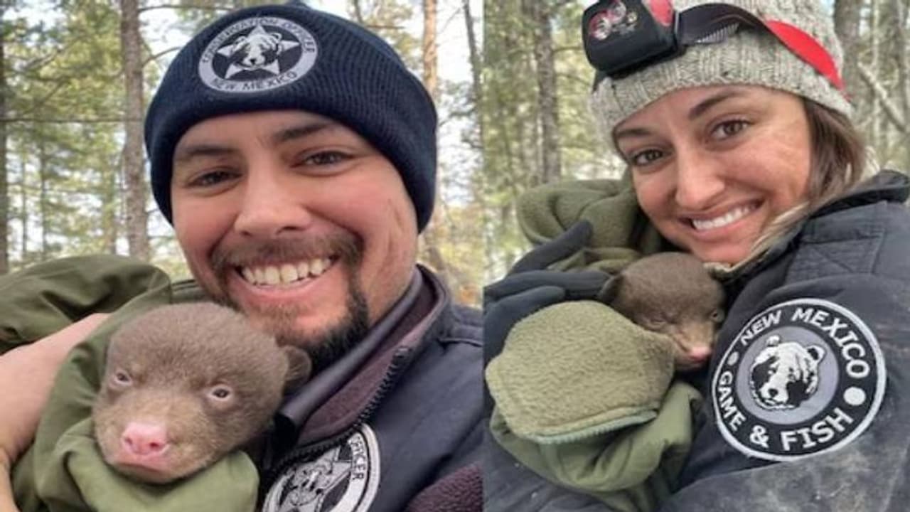 'ബിയർ ഹഗ്ഗർ'മാരെ ആവശ്യമുണ്ട്, ആകർഷകമായ ശമ്പളം കിട്ടും 'ബിയർ ഹഗ്ഗർ'മാരെ ആവശ്യമുണ്ട്, ആകർഷകമായ ശമ്പളം കിട്ടും