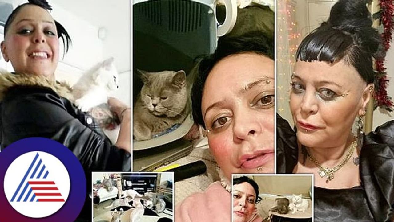 Animal Love: ತನಗೆ ಊಟವಿಲ್ಲದಿದ್ದರೂ ಬೆಕ್ಕುಗಳಿಗೆ ಆಹಾರ ನೀಡ್ತಾಳೆ ಈ ಇಂಗ್ಲೆಂಡ್ ಮಹಿಳೆ