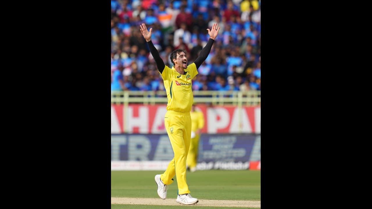 உலகக் கோப்பை கிரிக்கெட்டுக்கு ஆஸ்திரேலியாவின் துருப்பு சீட்டே இவங்க தான்; ரிக்கி பாண்டிங்! உலகக் கோப்பை கிரிக்கெட்டுக்கு ஆஸ்திரேலியாவின் துருப்பு சீட்டே இவங்க தான்; ரிக்கி பாண்டிங்!