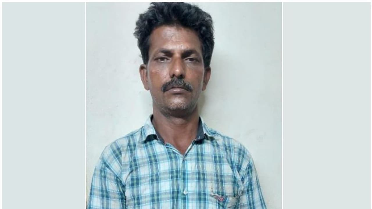 സുരക്ഷ പോലും നോക്കാതെ ജലാറ്റിന് സ്റ്റിക്കുകള്, ഫ്യൂസ് വയറുകള് അടക്കം ക്വാര്ട്ടേഴ്സില്; ഒരാള് അറസ്റ്റില് സുരക്ഷ പോലും നോക്കാതെ ജലാറ്റിന് സ്റ്റിക്കുകള്, ഫ്യൂസ് വയറുകള് അടക്കം ക്വാര്ട്ടേഴ്സില്; ഒരാള് അറസ്റ്റില്